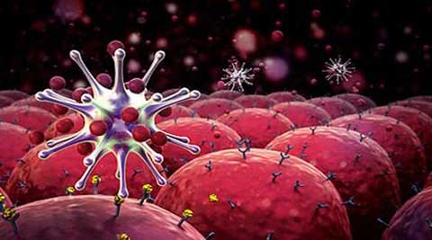 癌细胞程序性死亡为抗肿瘤疫苗研发提供新思路