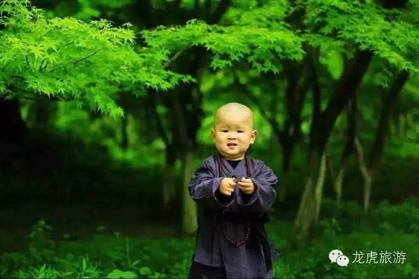 栖霞山_栖霞山景点介绍_栖霞山风景区门票多少钱