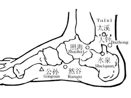 武汉电疗法穴位之公孙