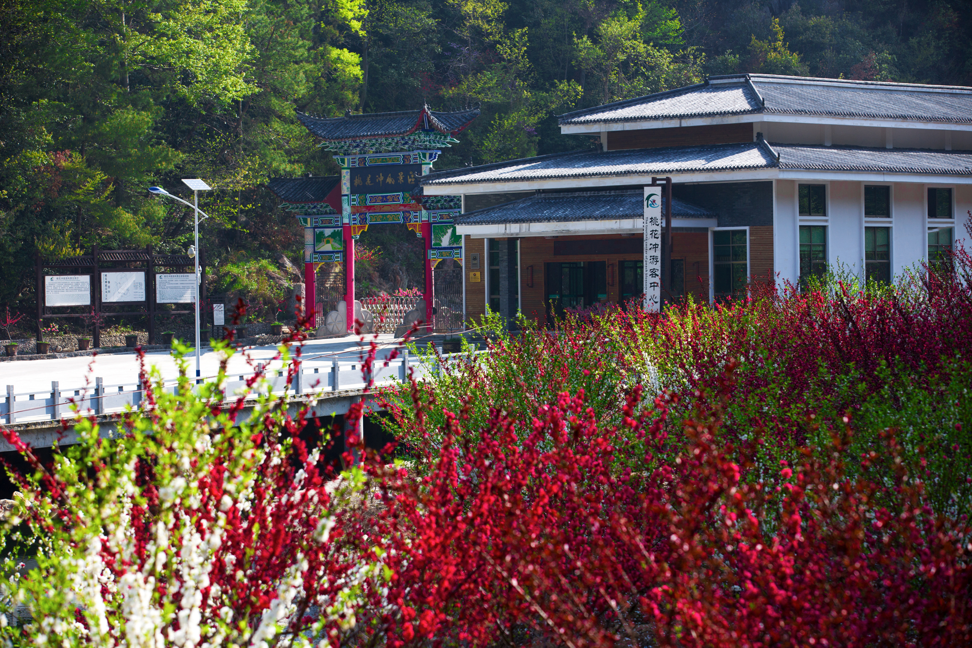 生态 ▏雄奇大别山 秀美桃花冲