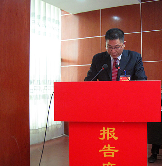 图二镇党委书记汤先梧在大会上做工作报告
