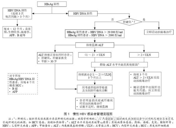 2015年中国慢性乙型肝炎防治指南解读
