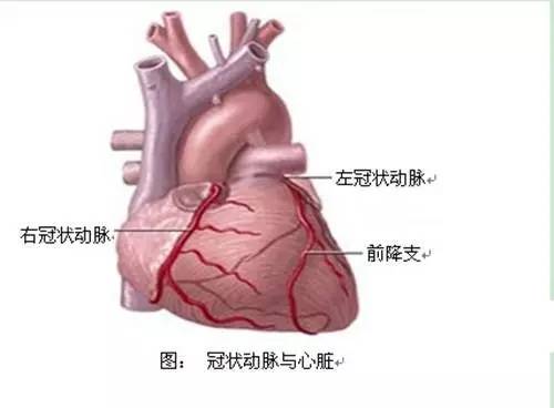 人口造影_输卵管造影图片