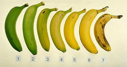 叫你怎样挑选好吃的香蕉