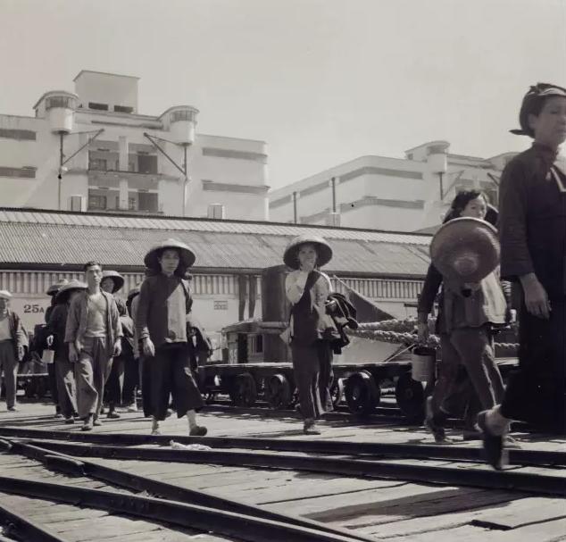 1949年到香港人口_香港2021年生肖表