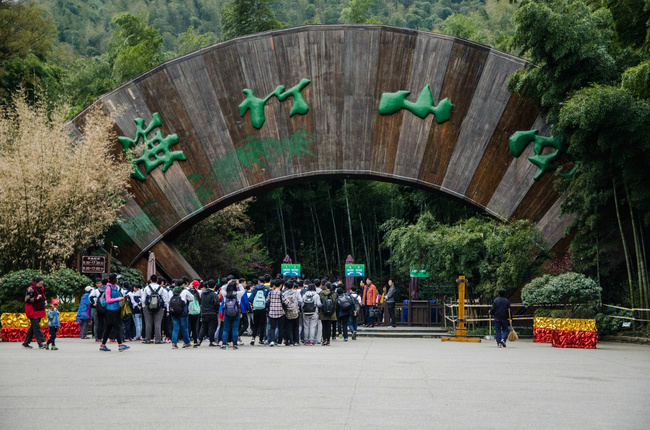 南山竹海景区大门设计就采用了竹子的截面图,而且整个大门的材质也是