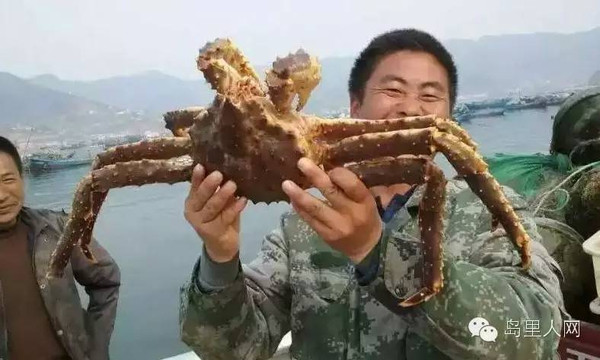 [长海新闻]大连长海县海洋岛渔民竟然抓到了偷