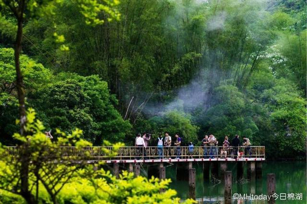 五一去哪玩?揭西龙山油桐花开满山雪白,你心动了么