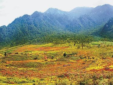 黑竹沟风景区.