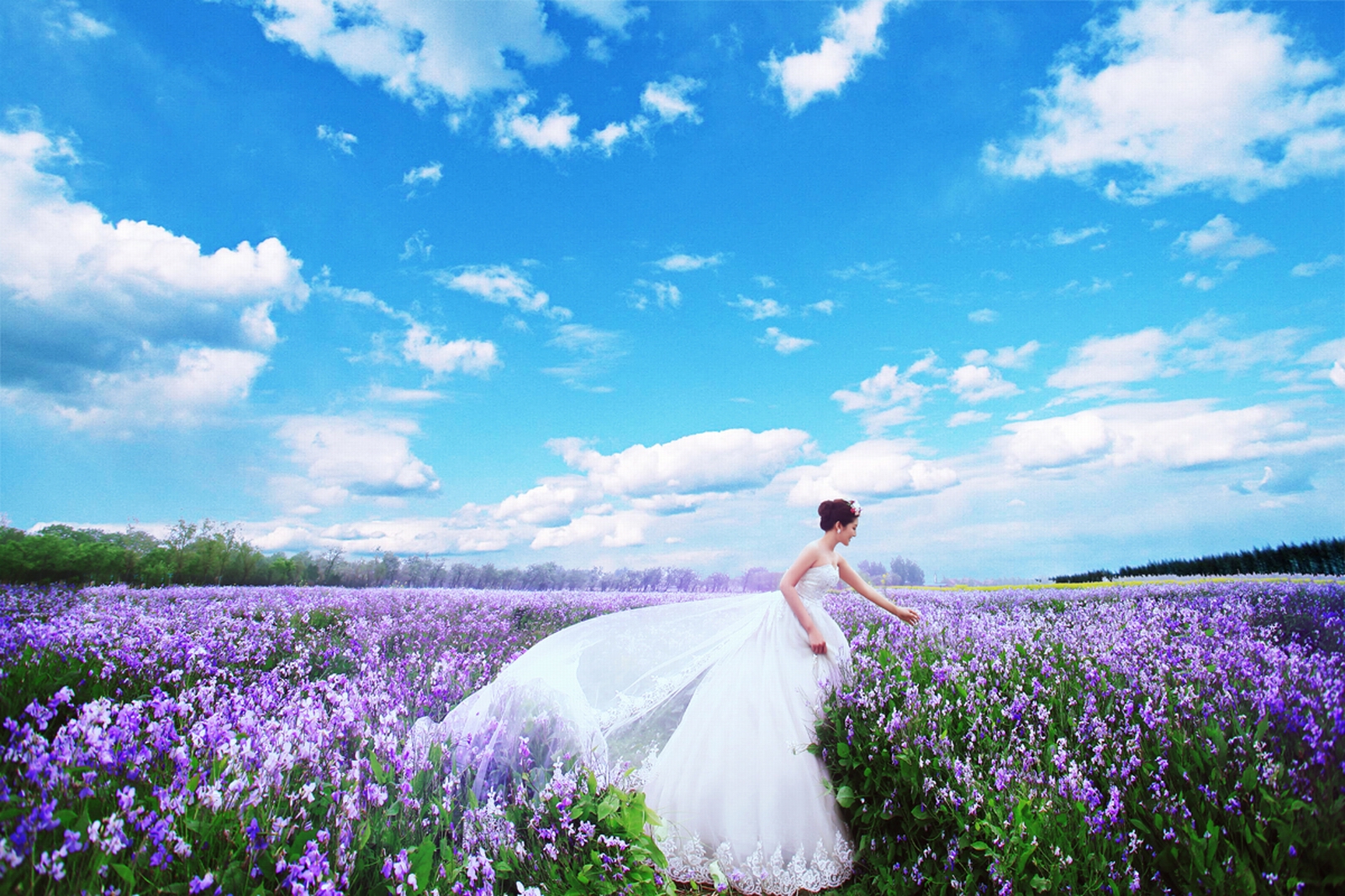北京婚纱摄影;适合拍摄花海婚纱照的季节-搜狐