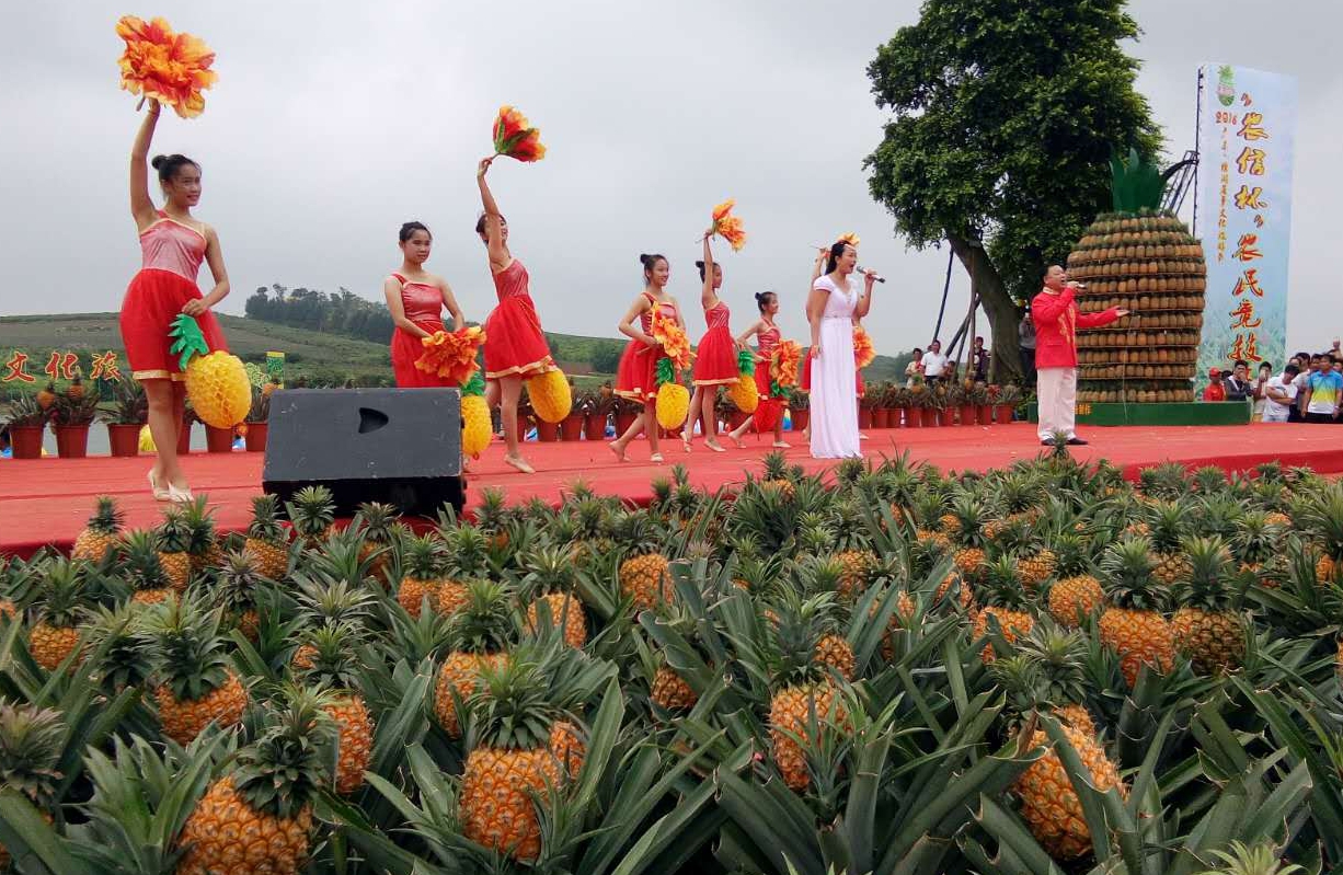 徐闻首届菠萝文化旅游节圆满闭幕