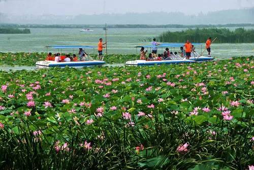 周口淮阳龙湖风景区