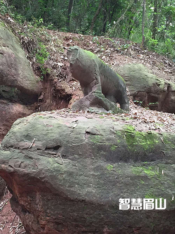 彭山千年石龙终现全貌