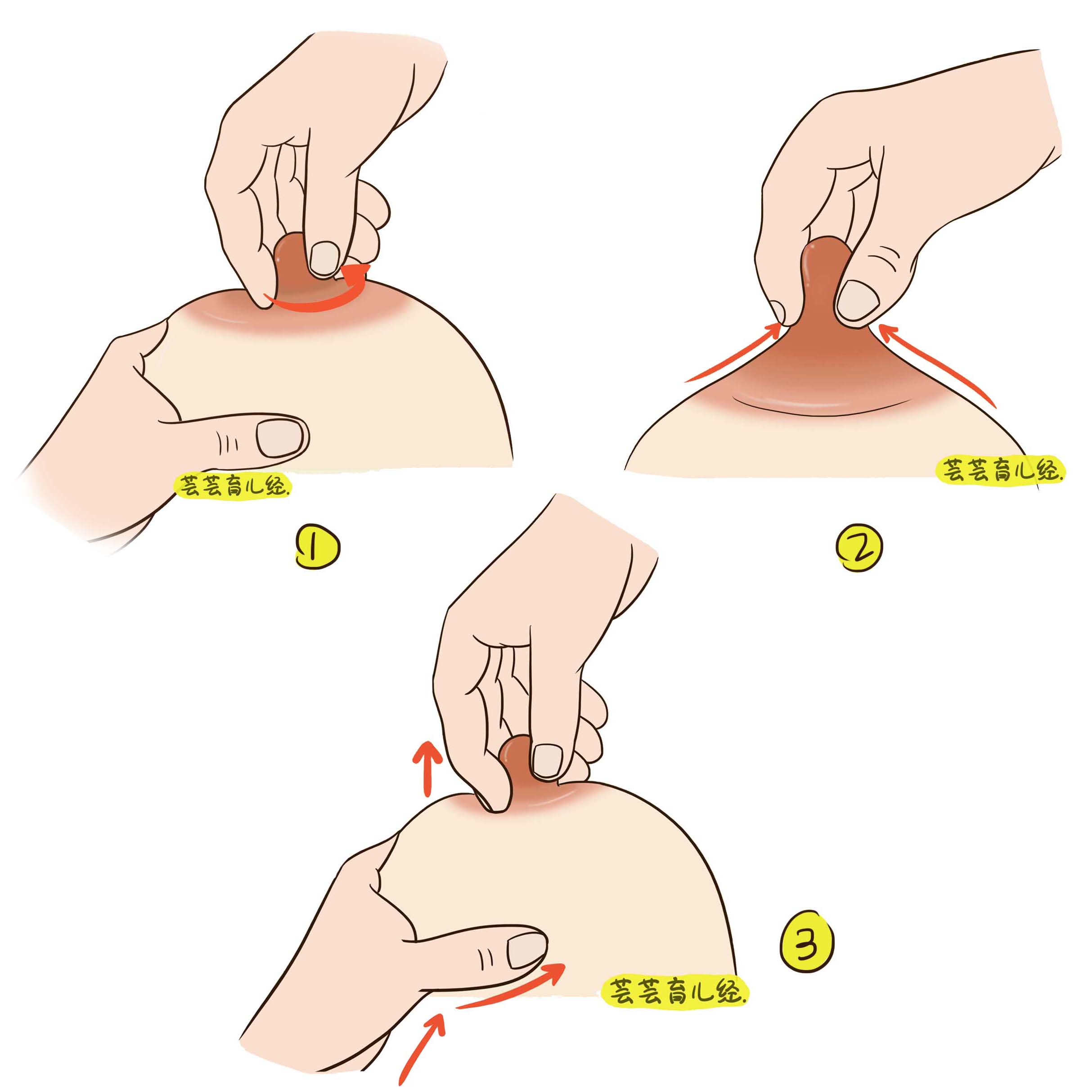 (2)催乳按摩法:乳头催乳按摩法:妈妈一只手托住乳房,另一只手的拇指