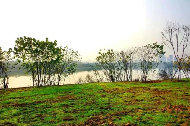 青龙湖水库位于龙泉驿区十陵风景区范围内,占地面积约10400亩,是成都