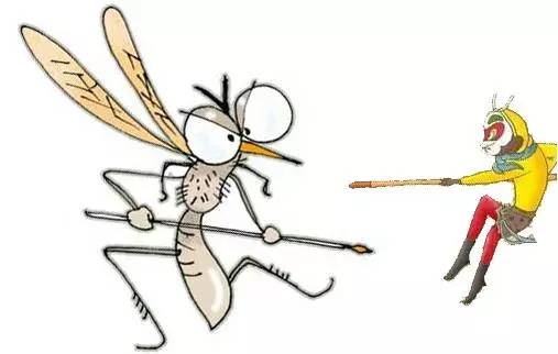 【实用】10个天然防蚊小妙招,让你在夏天免受蚊虫叮咬!