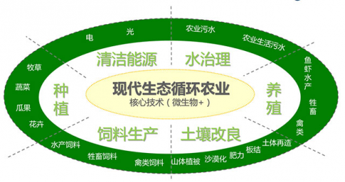 经济网_...融资源流向实体经济