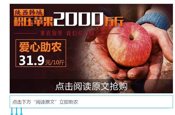 【爱心助农】陕西积压苹果2000万斤,果农发愁