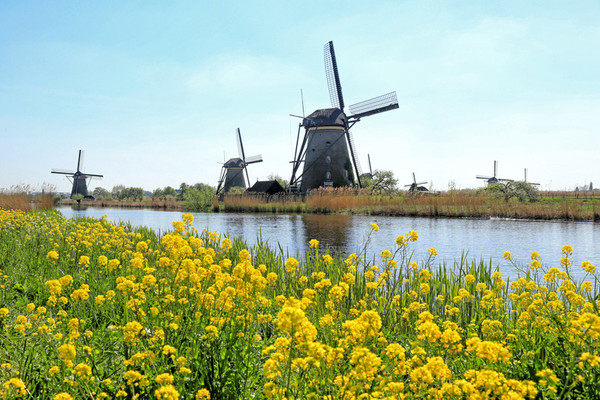 荷兰开放五年签证,从此欧洲申请国都可以说走
