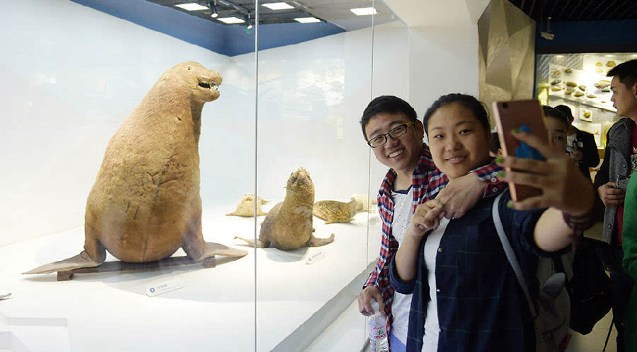 海洋生物馆新装开放 珍贵海底标本亮相