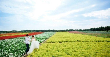 毕节婚纱摄影_贵州毕节图片(2)