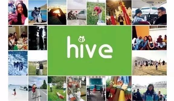 怪我丨美女外交官变身熊猫铲屎官,HIVE到底多