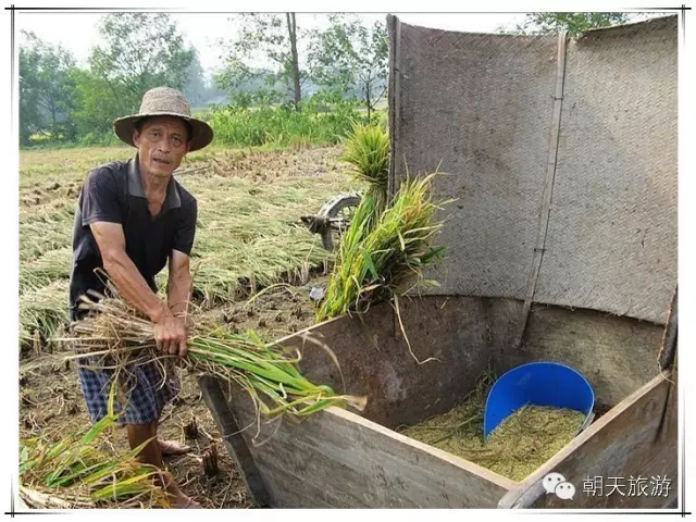 拔地摇什么成语_成语故事图片(2)