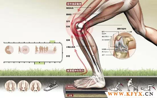 膝盖劳损康复锻炼方法