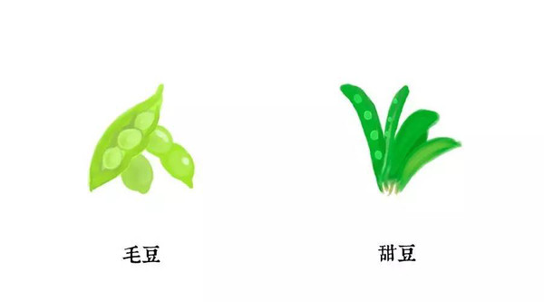 毛豆,甜豆&荷兰豆