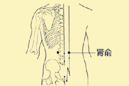 按摩肾俞穴可以增强肾功能,改善肾虚症状,同时对于高血压,低血压和心