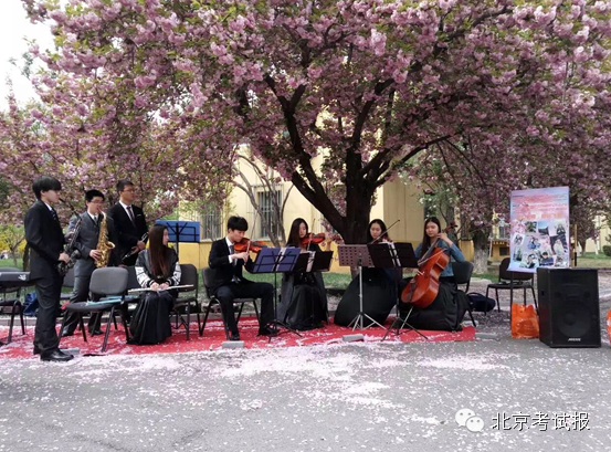 走进北京工业大学耿丹学院:"樱花正开,青春在盛放"