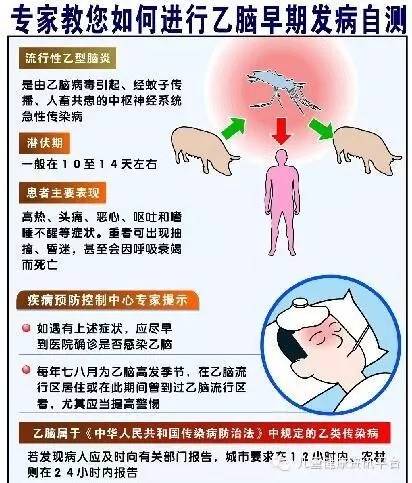 夏天来了,如何预防流行性乙型脑炎?