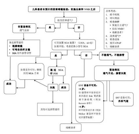 未预计的小儿困难气道的推荐处理流程(更新自2013asa指南 翻译