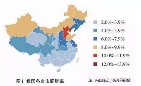 中国肥胖人口比例_中国人口肥胖统计图(3)