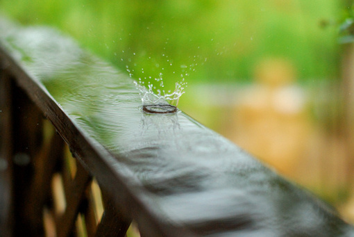 雨后世界,一片斑斓