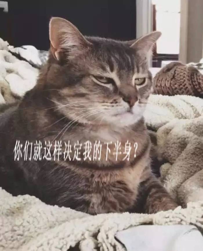 生无可恋的主子们