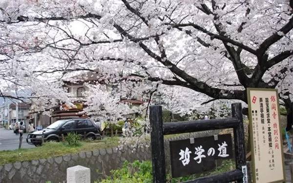 京都必玩的十大景点,最具日式风情的地方!