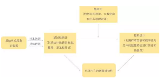 描述性统计分析