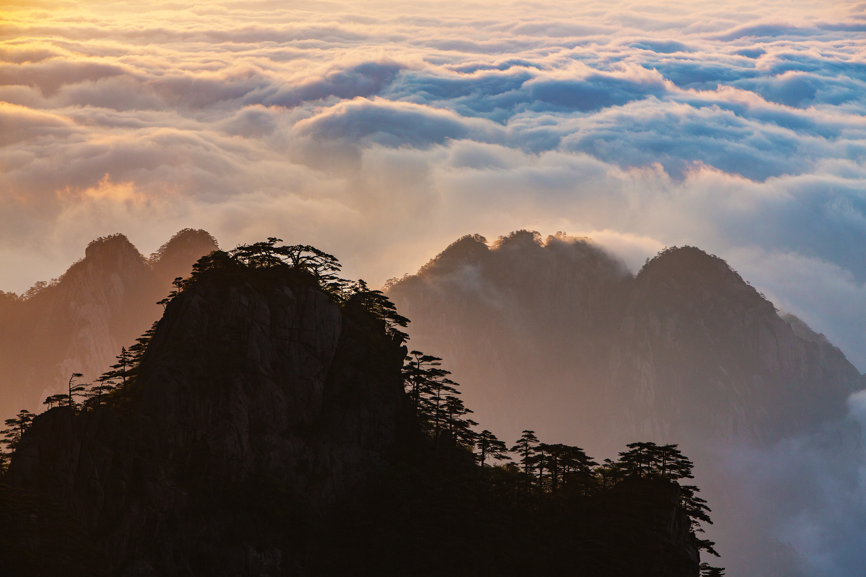 黄山：日出遇到了最美的云海 山树云光相互交集-搜狐
