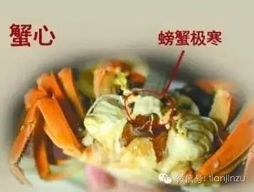 海飞蟹怎么吃