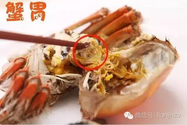 海飞蟹怎么吃