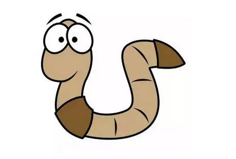 环节动物,蚯蚓的一种,由于常年在户外,所以比一般蚯蚓体色要黑