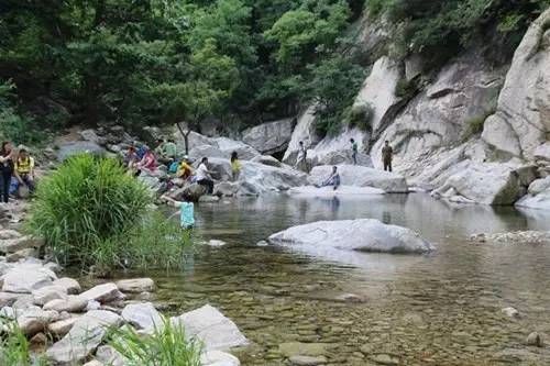 平顶山鲁山西大河地址:洛阳宜阳县张午乡七峪村.