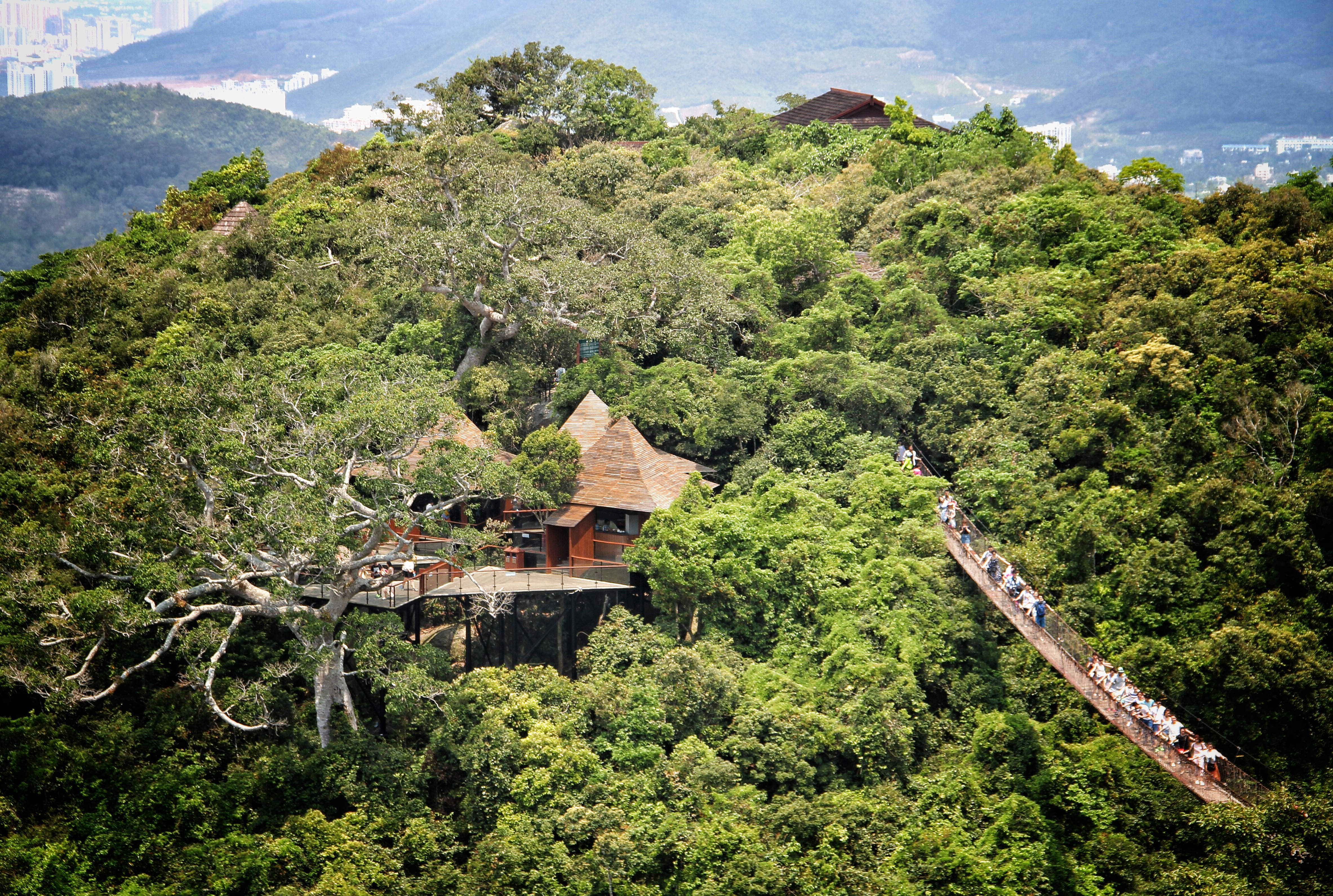 探访海南热带雨林国家公园_面积