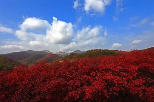 确山县人口面积_确山县县域旅游规划图(2)