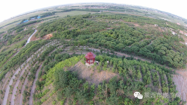 仙足山风景区地点:水集街道中庄扶村西仙足山风景区采摘时间:5月19日