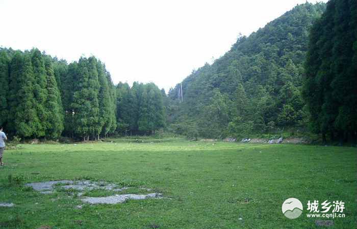 黄水国家森林公园