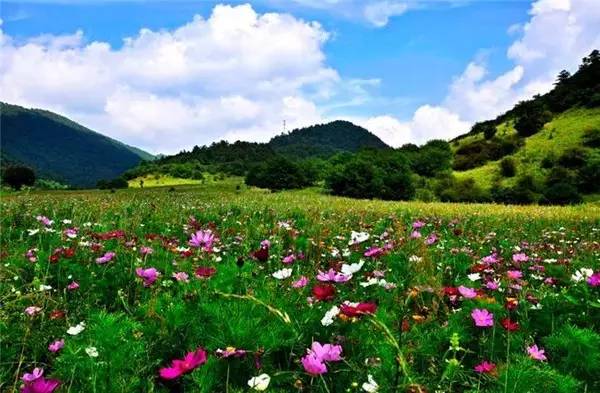 巫溪红池坝景区