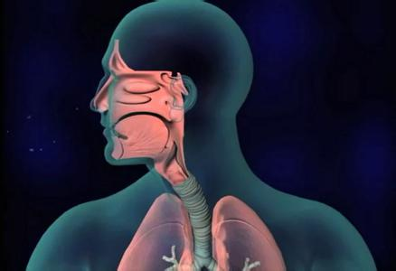 过敏性鼻炎最常见的问题