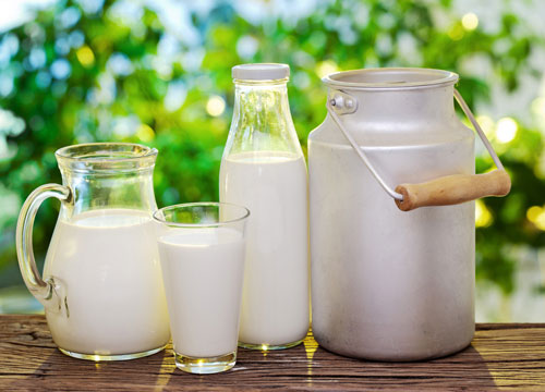 童年对牛奶过敏易缺钙